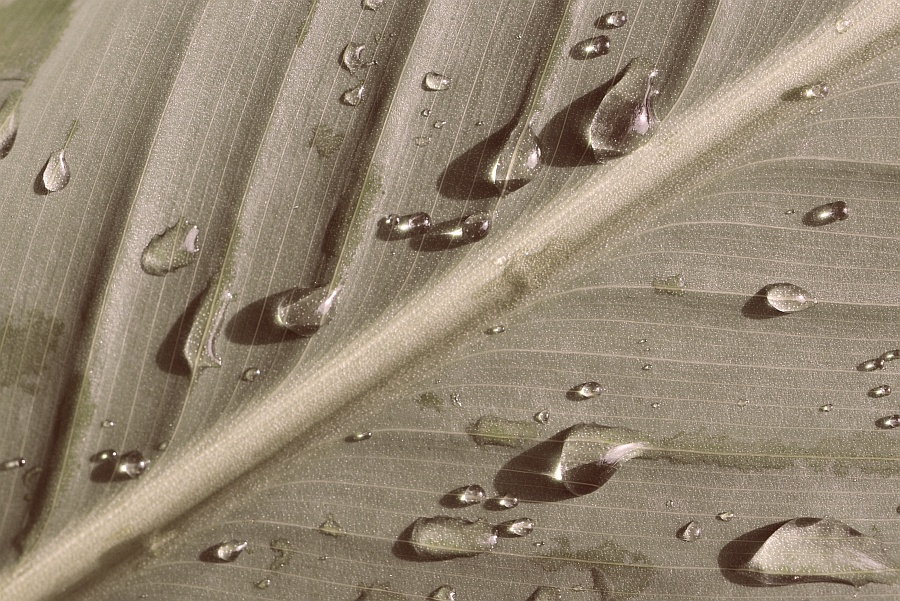 DSC 5075