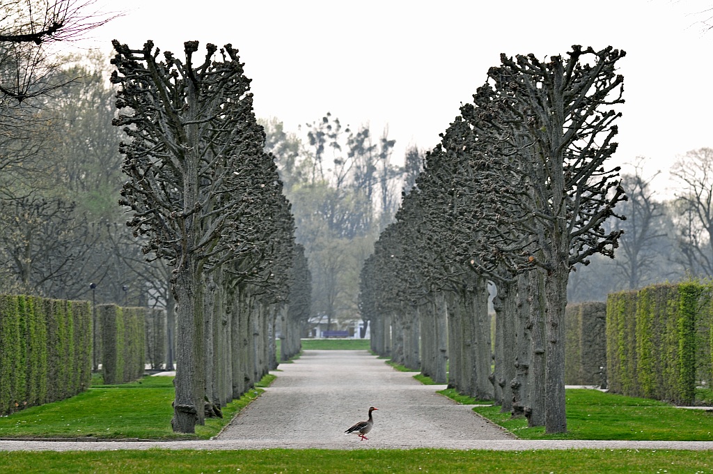DSC 5078b