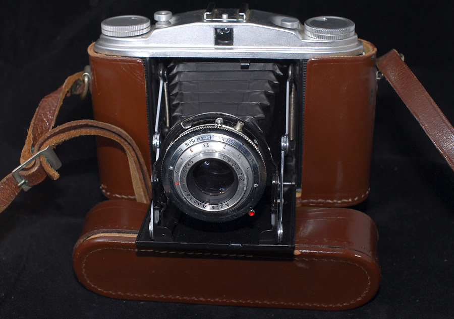 DSC 5081