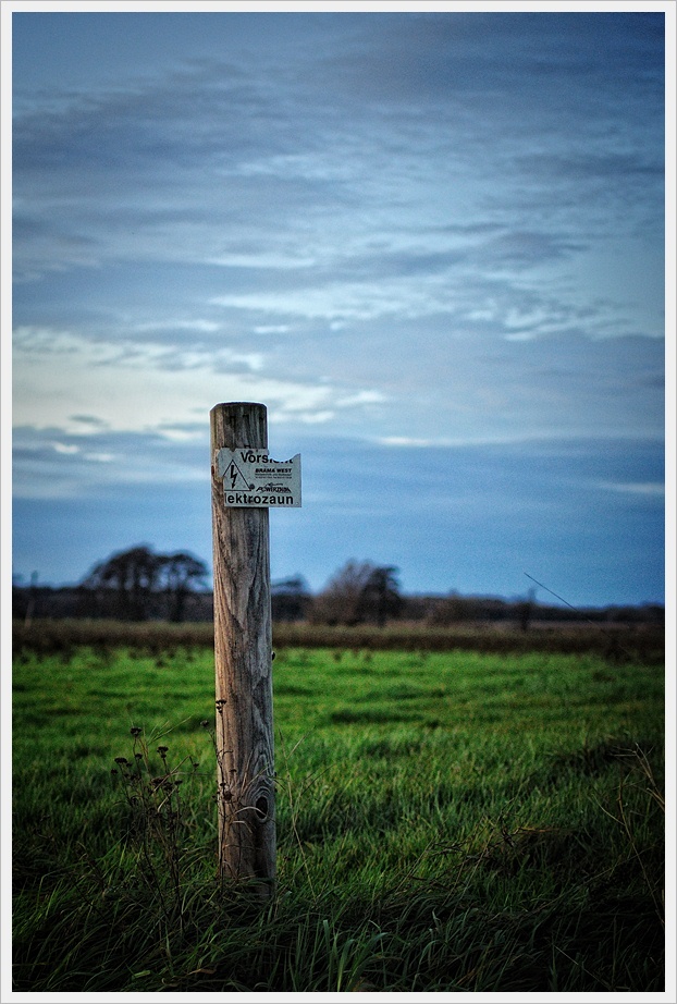 DSC 5088nff