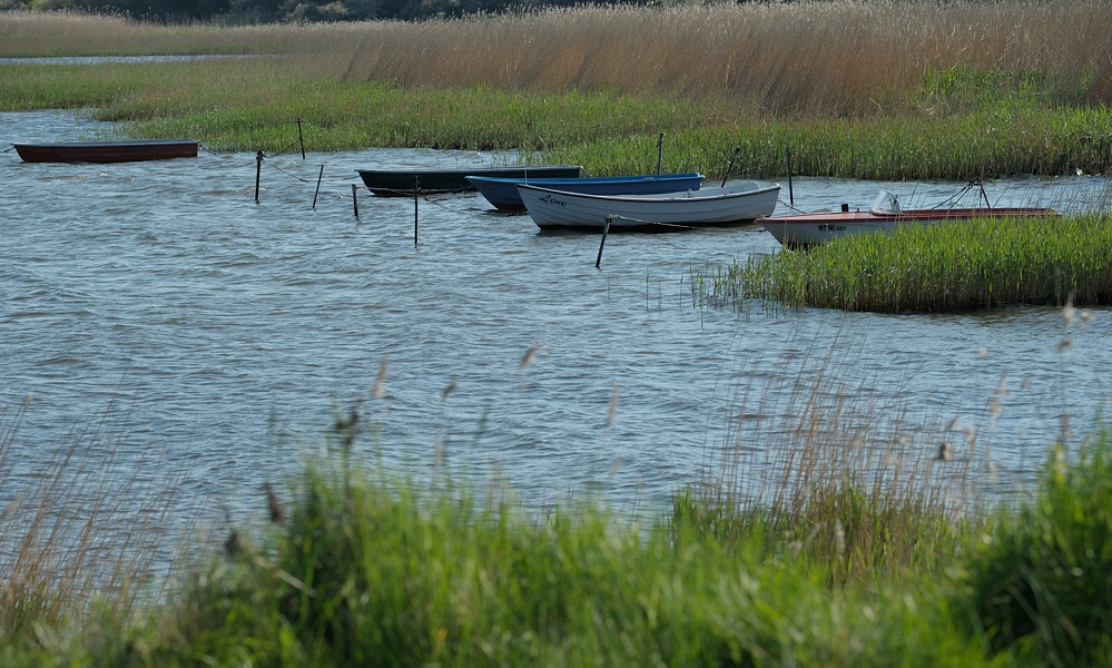 DSC 5107a