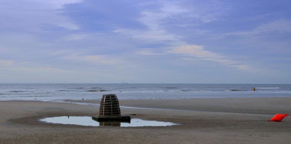 DSC 5144 1
Strandgut
