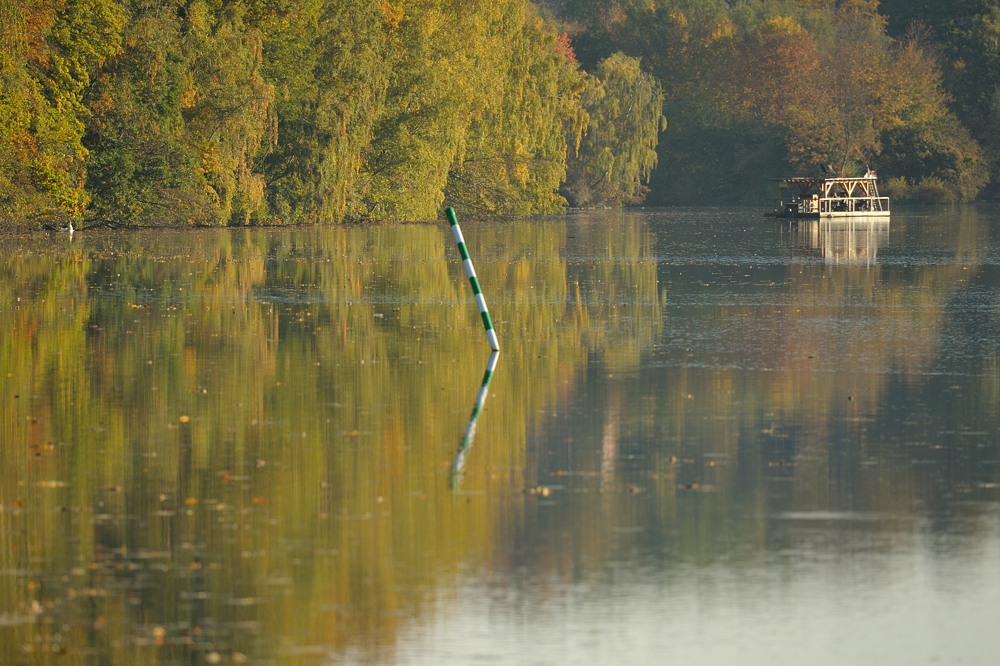 DSC 5165a