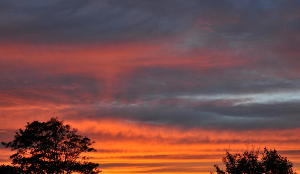 DSC 5194 1
Sonnenuntergang (aus dem Dachfenster gesehen )