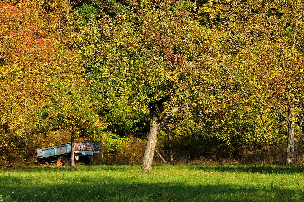 DSC 5200 Herbst