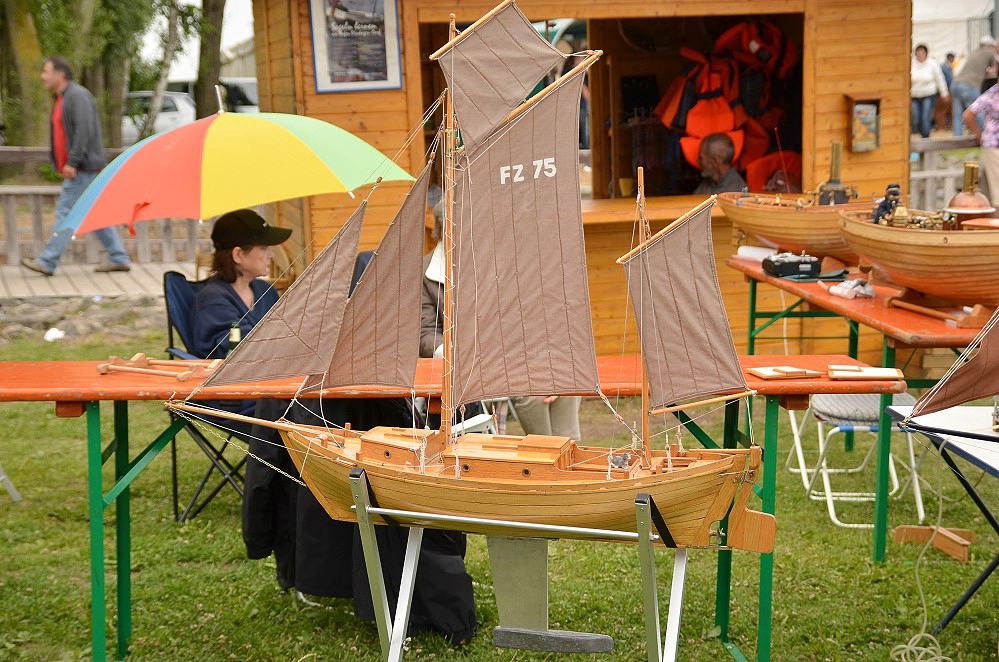 DSC 5204  ZeesenbooteDierhagen