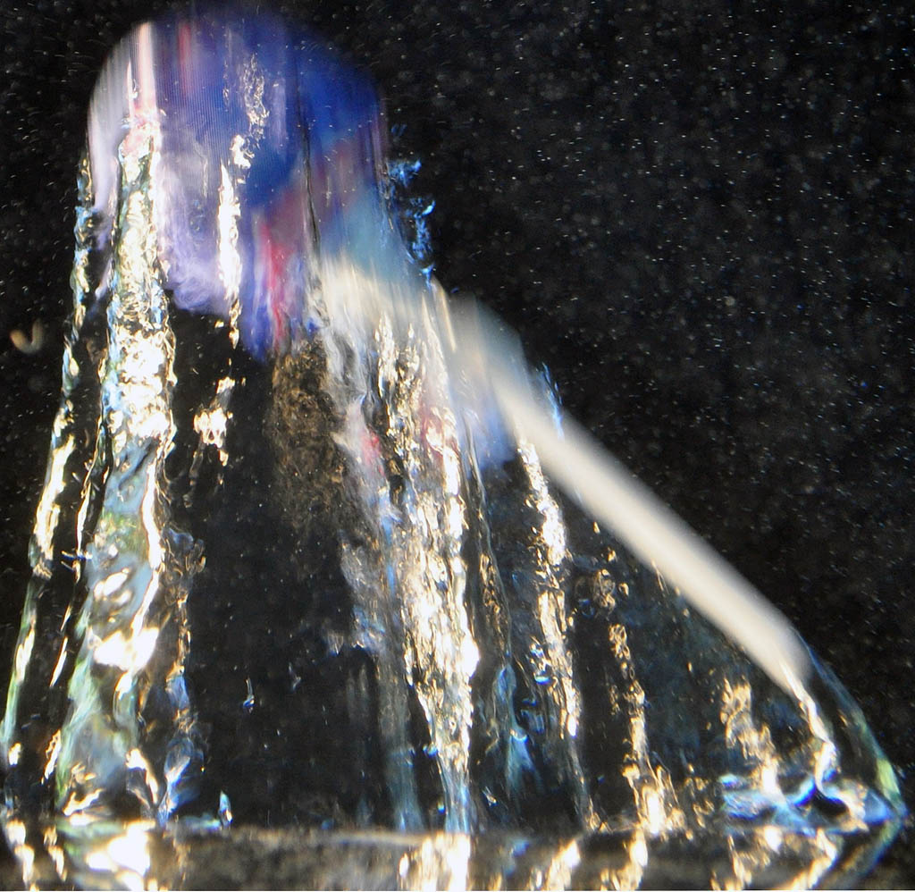 DSC 5216