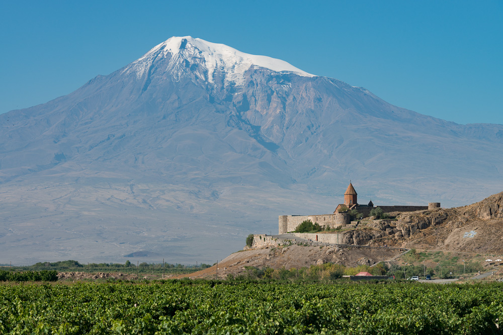 DSC 5244