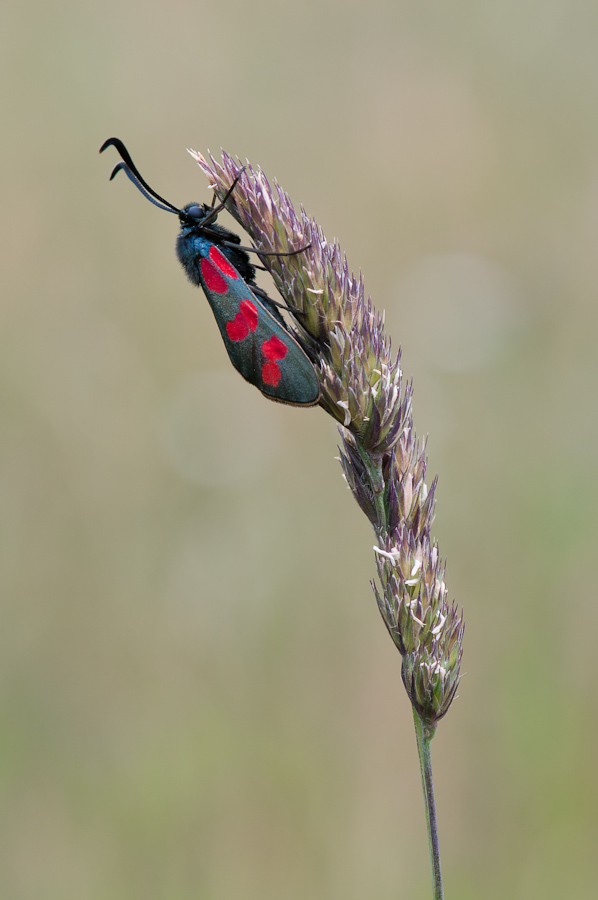 DSC 5253 bearb
