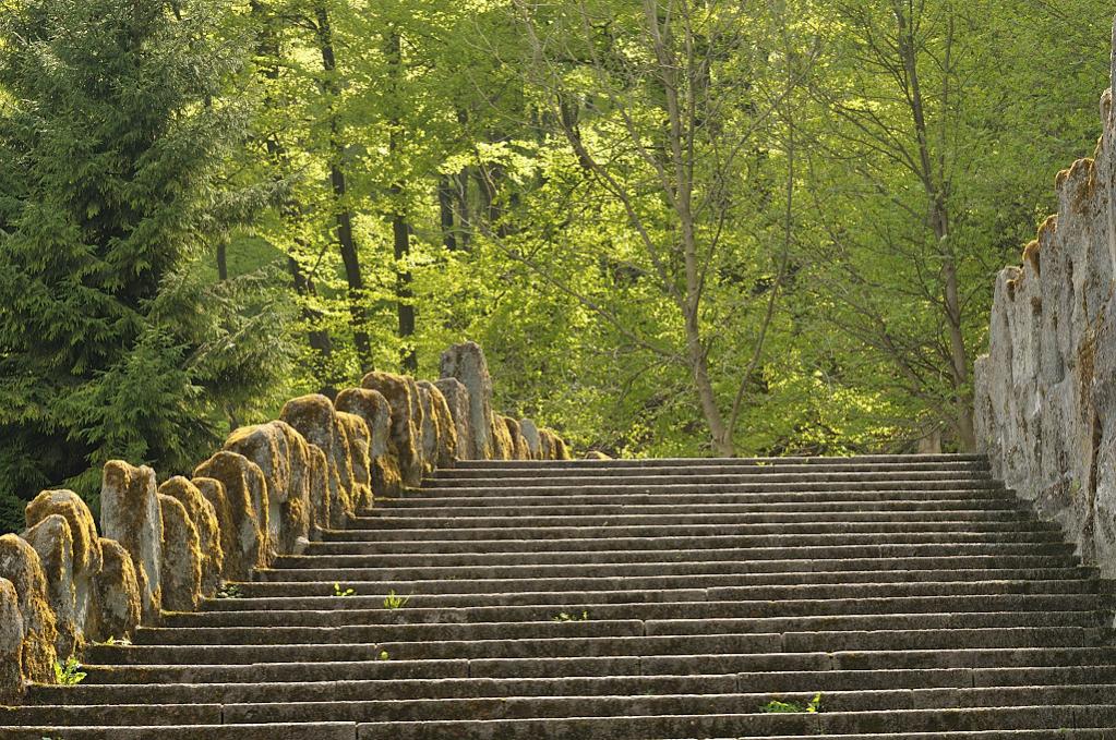 DSC 5254 Leere Treppenstufen, nur die Sonne ist auf jeder Stufe