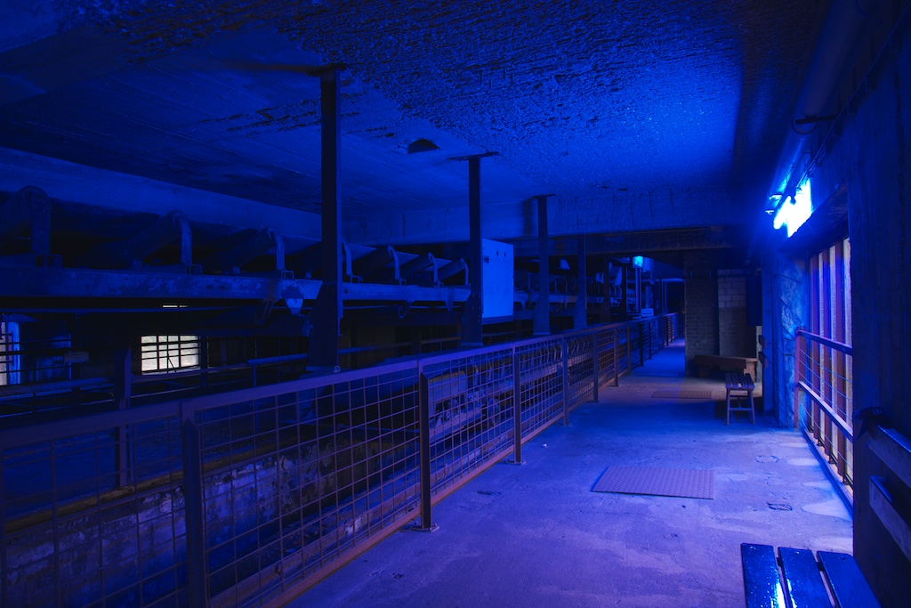 DSC 5264