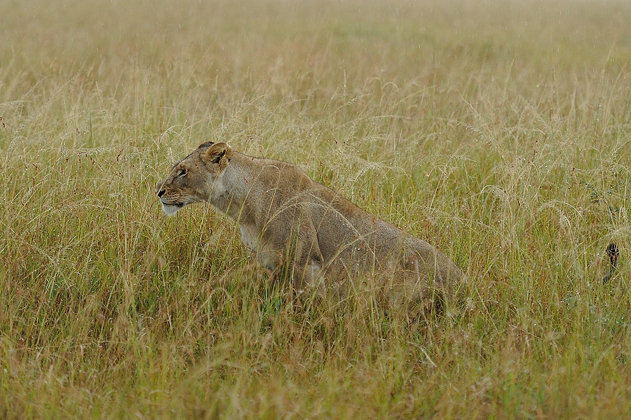 DSC 5269