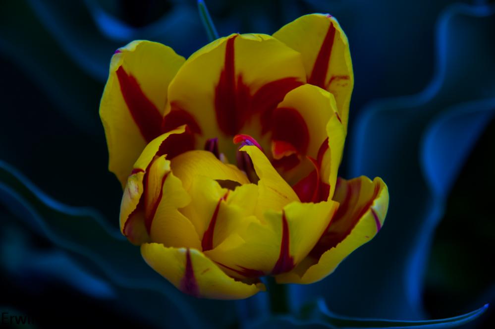 DSC 5275