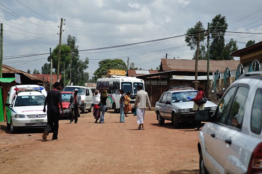 DSC 5289