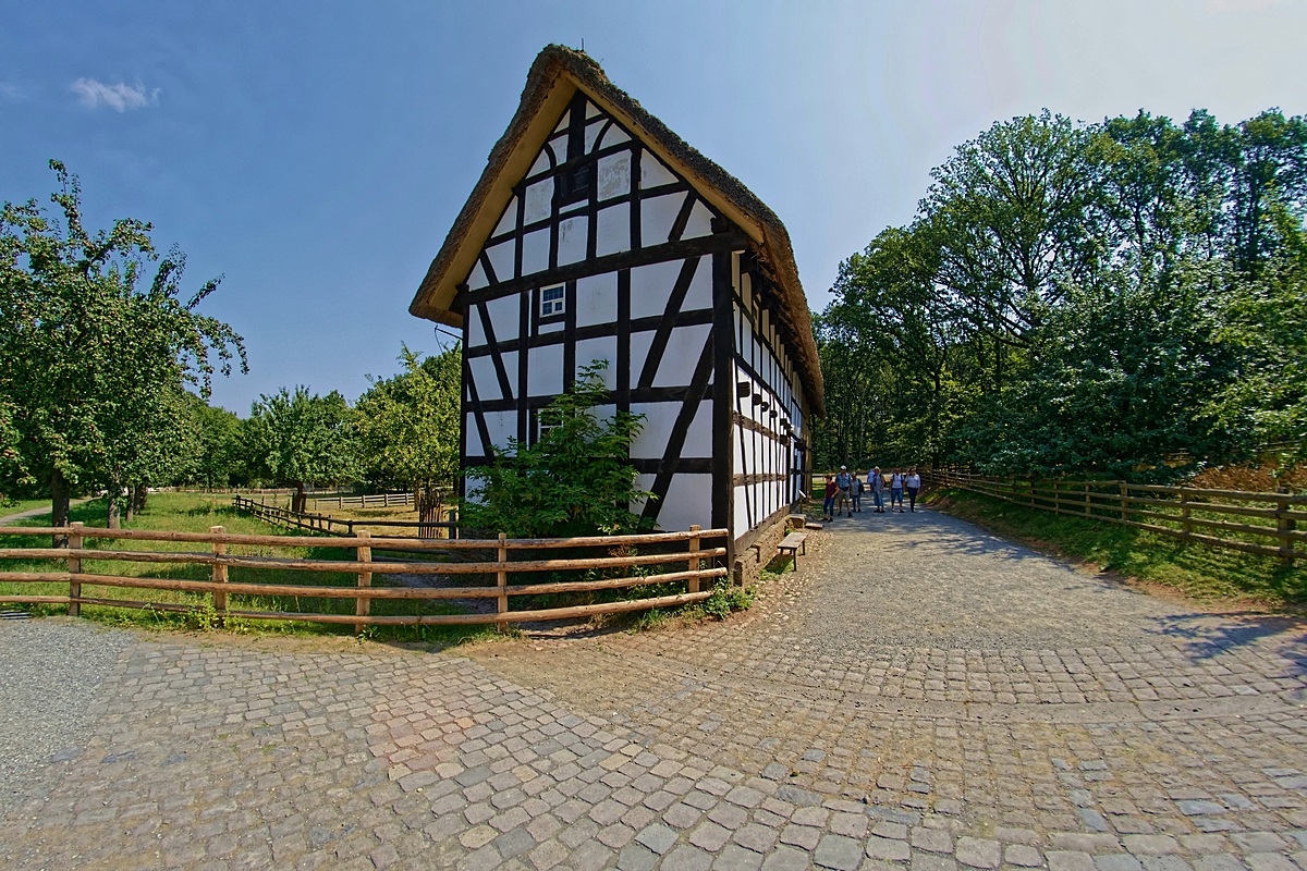 DSC 5298fullframek