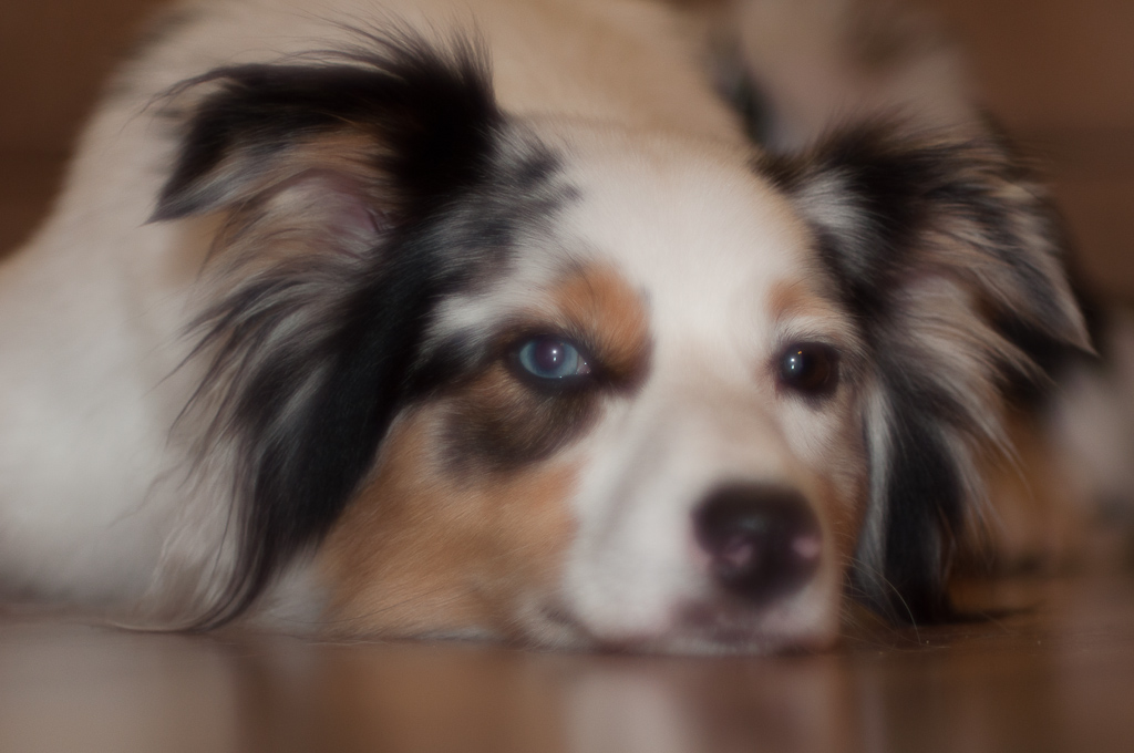 DSC 5308 DC20 F5 6