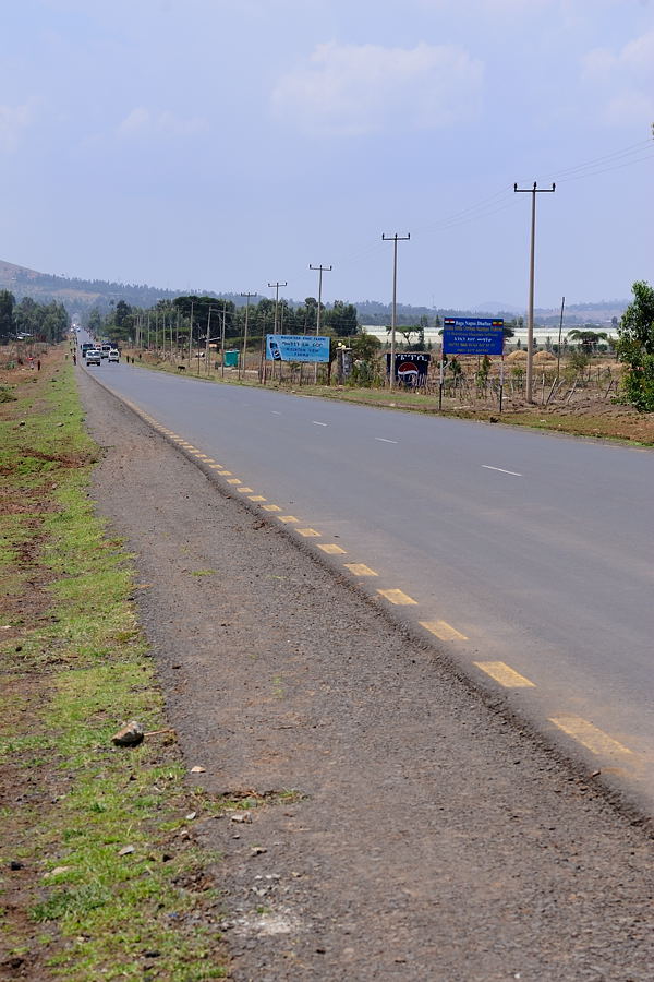 DSC 5308