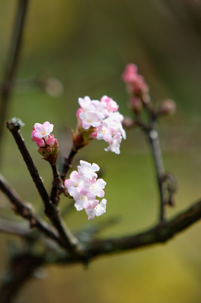 DSC 5323 DxO.1.2