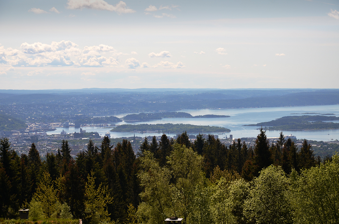 DSC 5326 Oslo