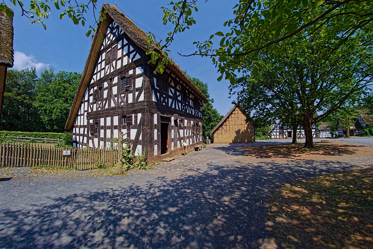 DSC 5331ko