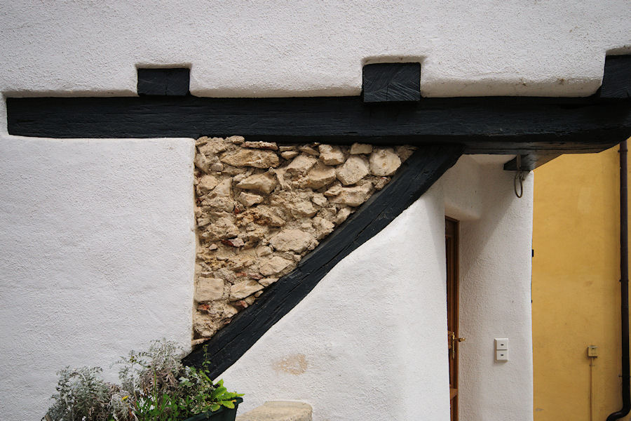 DSC 5338