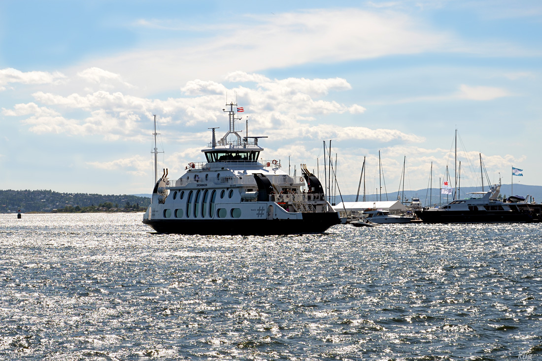 DSC 5360 Schiff