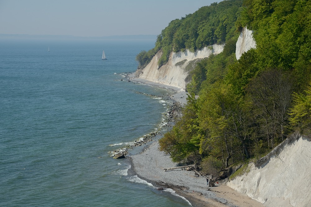DSC 5375a