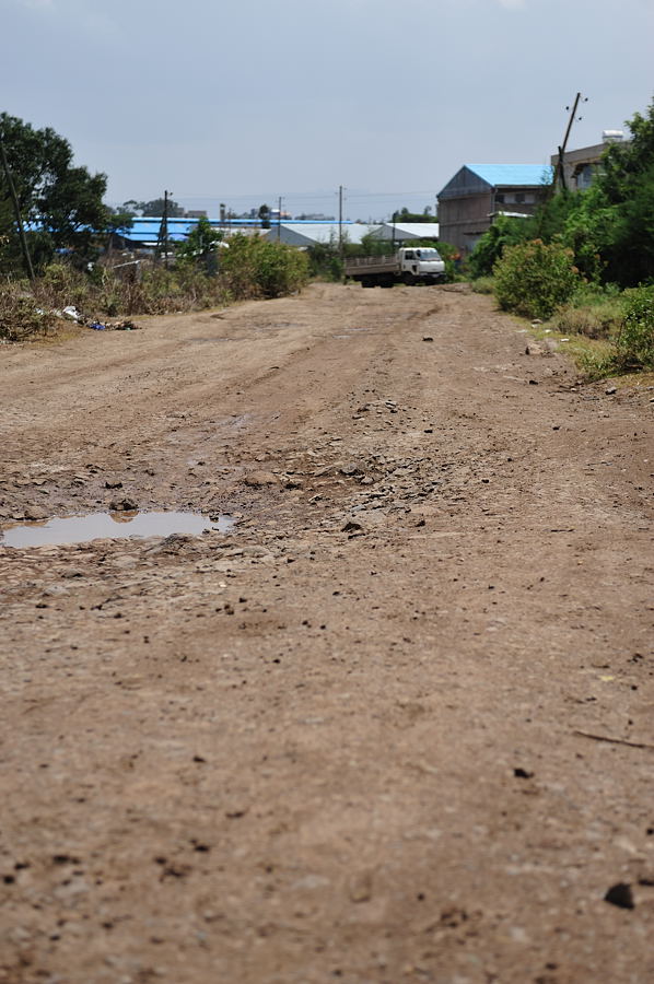 DSC 5391