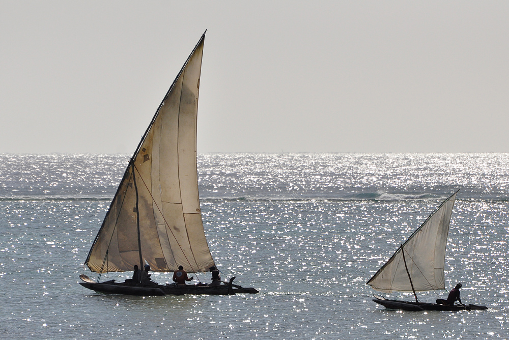 DSC 5408 1000
