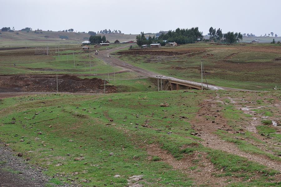 DSC 5408