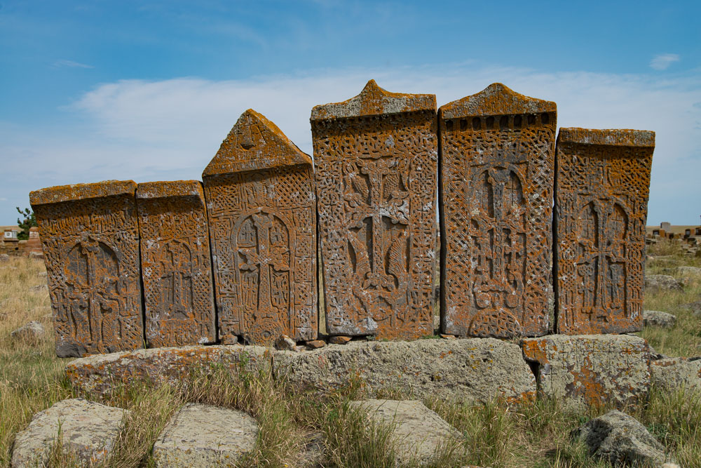 DSC 5410