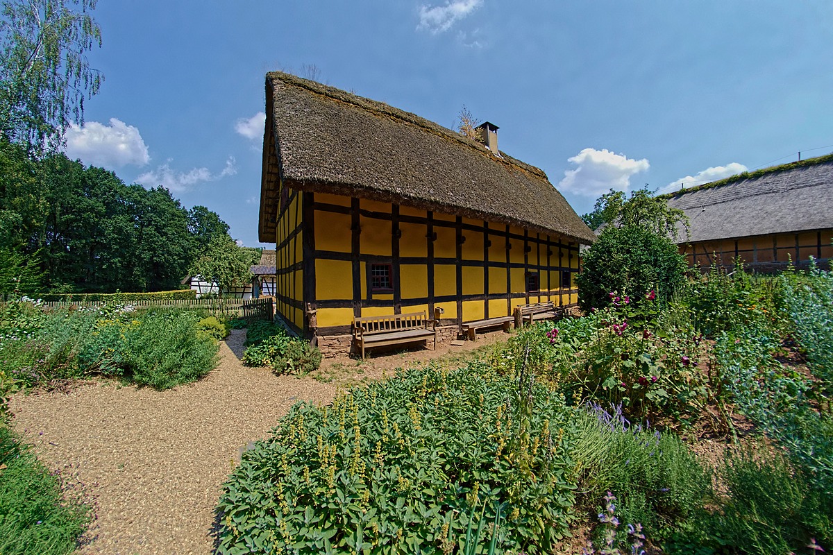 DSC 5412fullframek