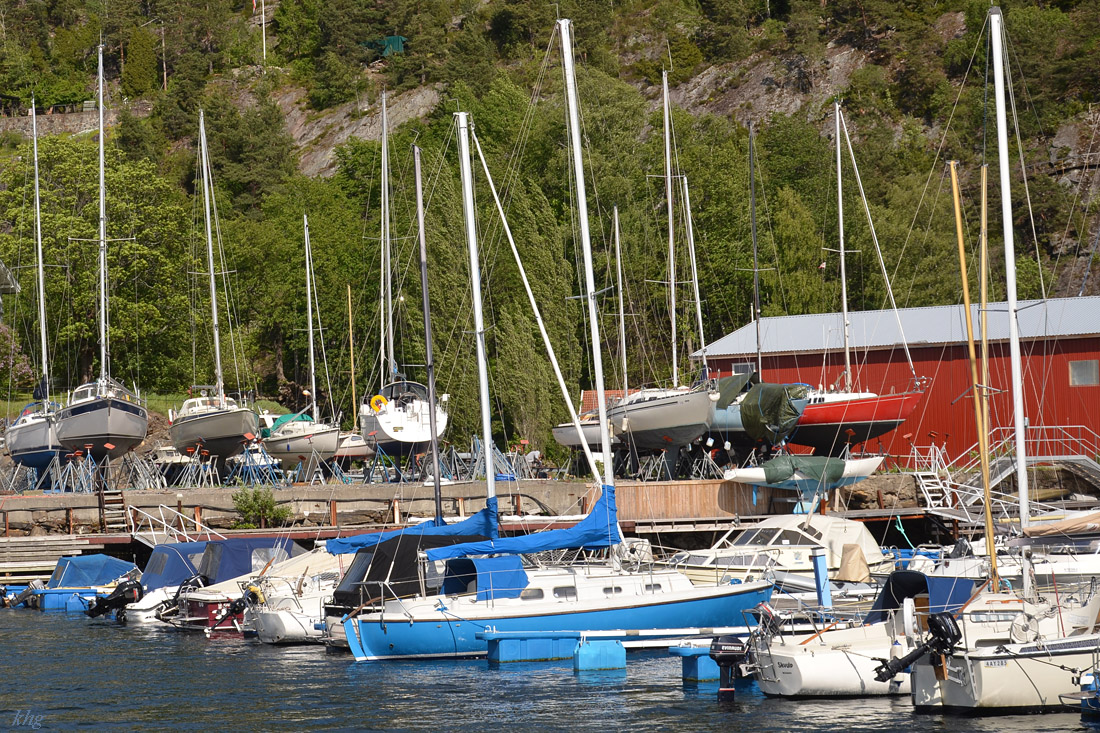 DSC 5436 khg