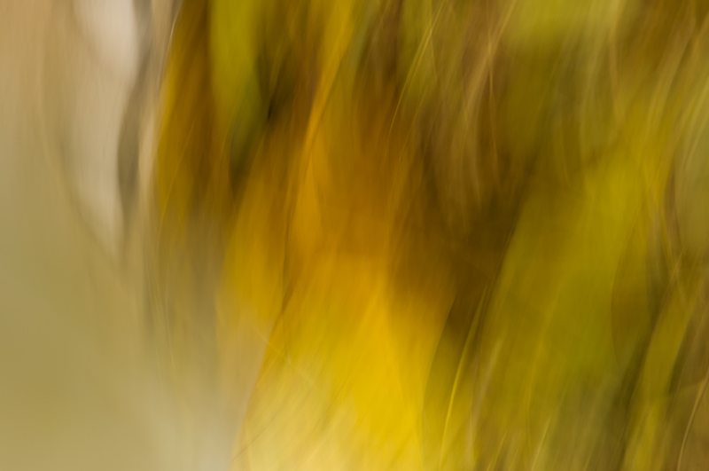 DSC 5436
