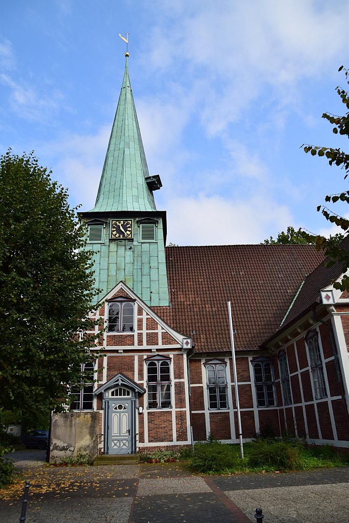 DSC 5446