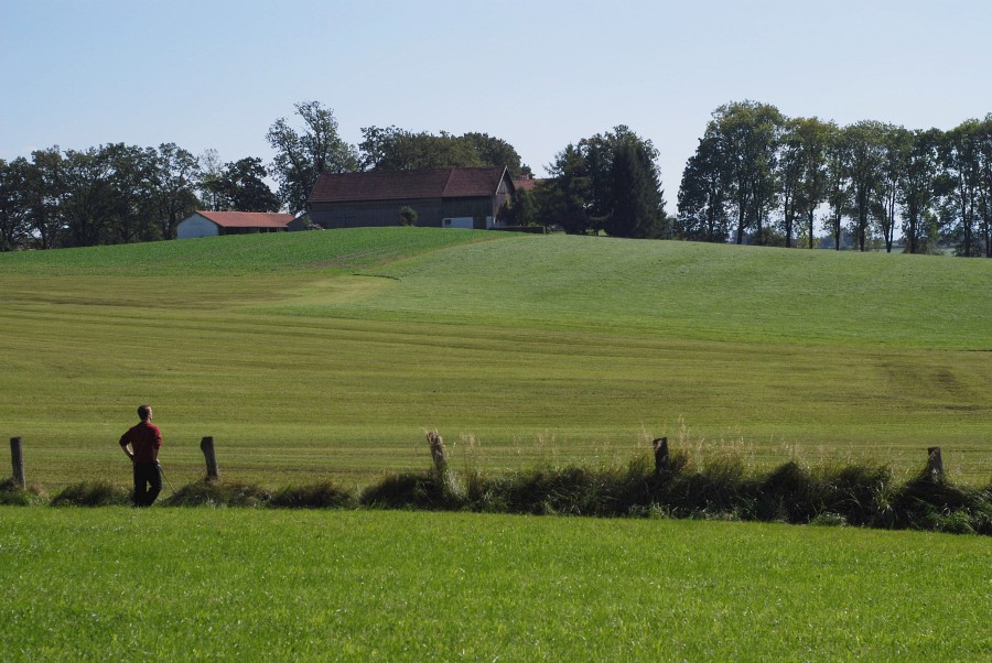 DSC 5447