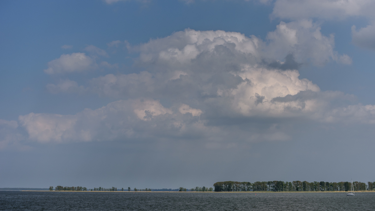 DSC 5452 02
