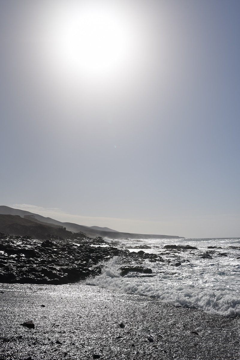 DSC 5468a