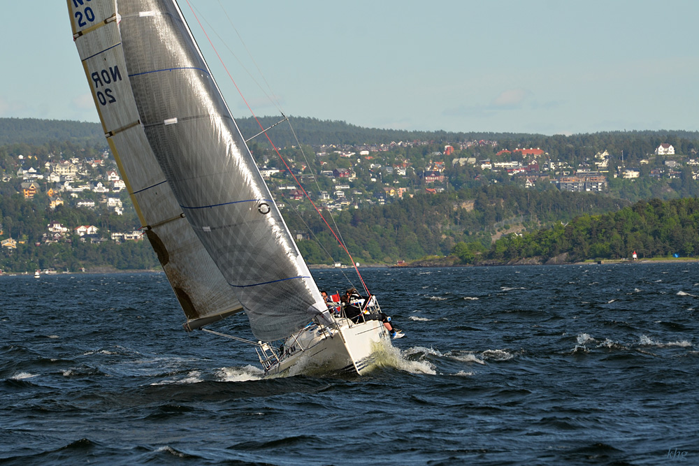 DSC 5478 Segler