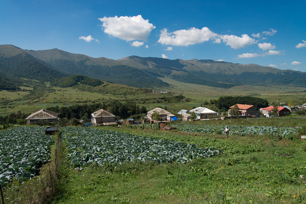 DSC 5492