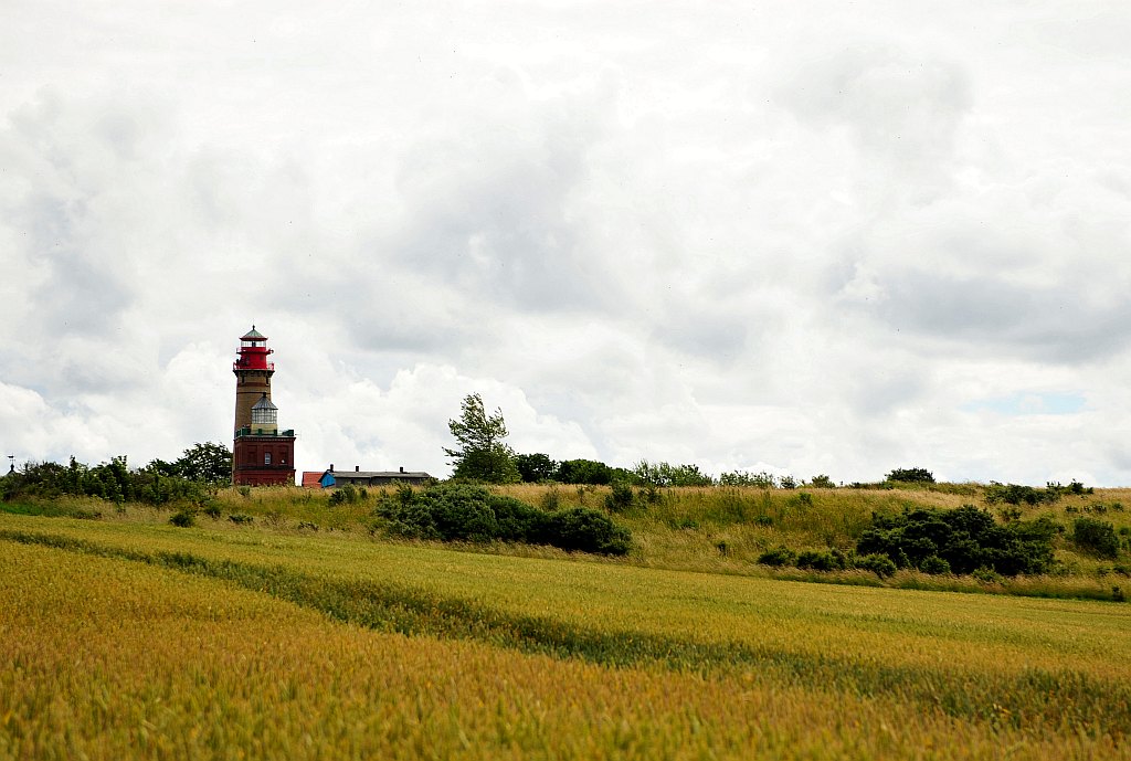DSC 5505
