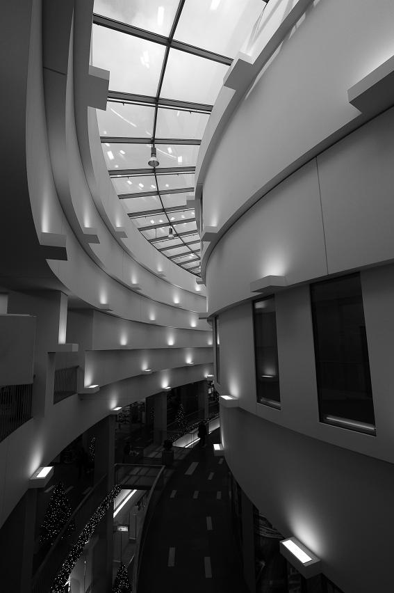 DSC 5507