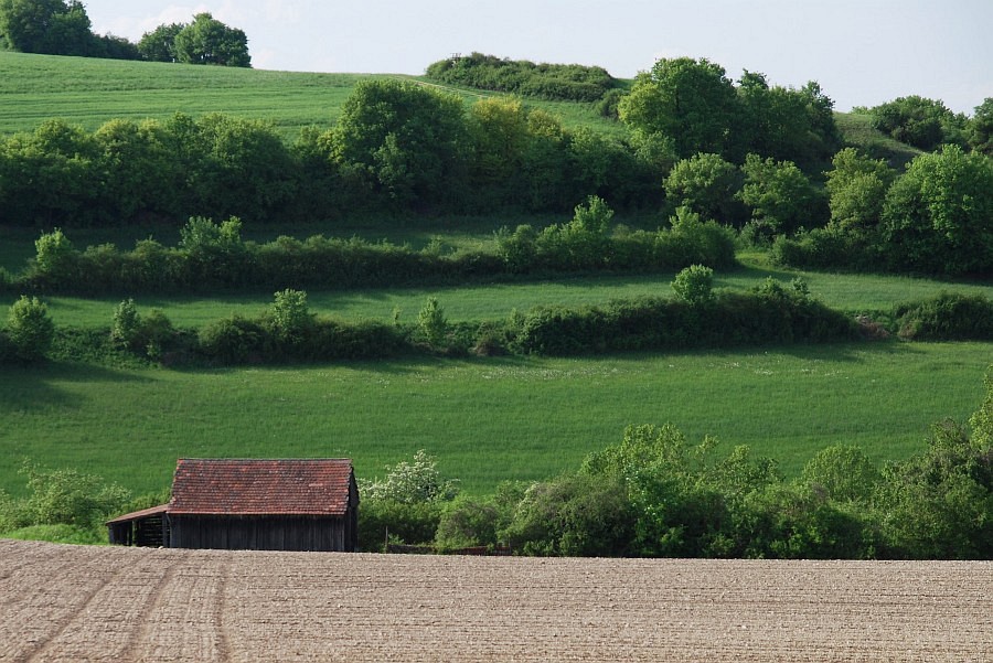 DSC 5517