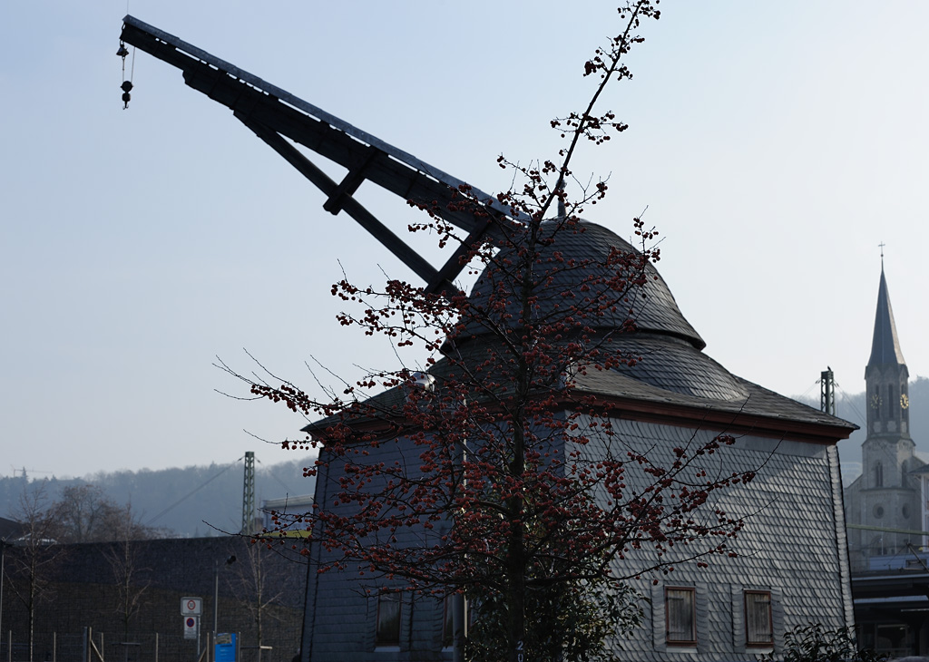 DSC 5518