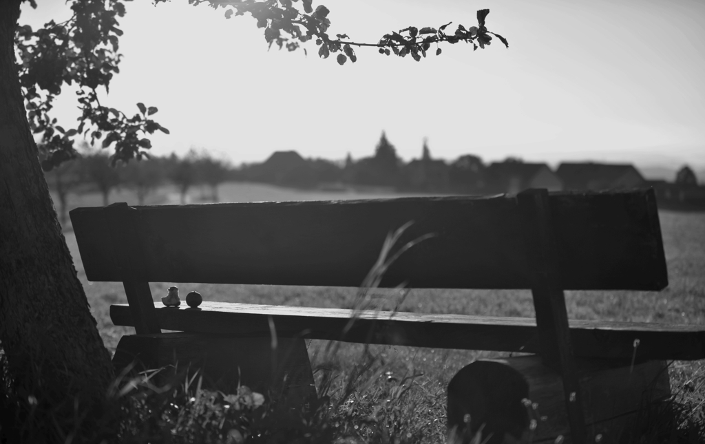DSC 5525 web crop bw