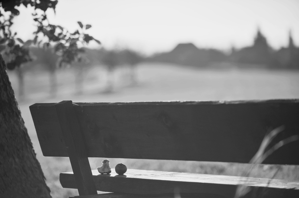 DSC 5527 web bw