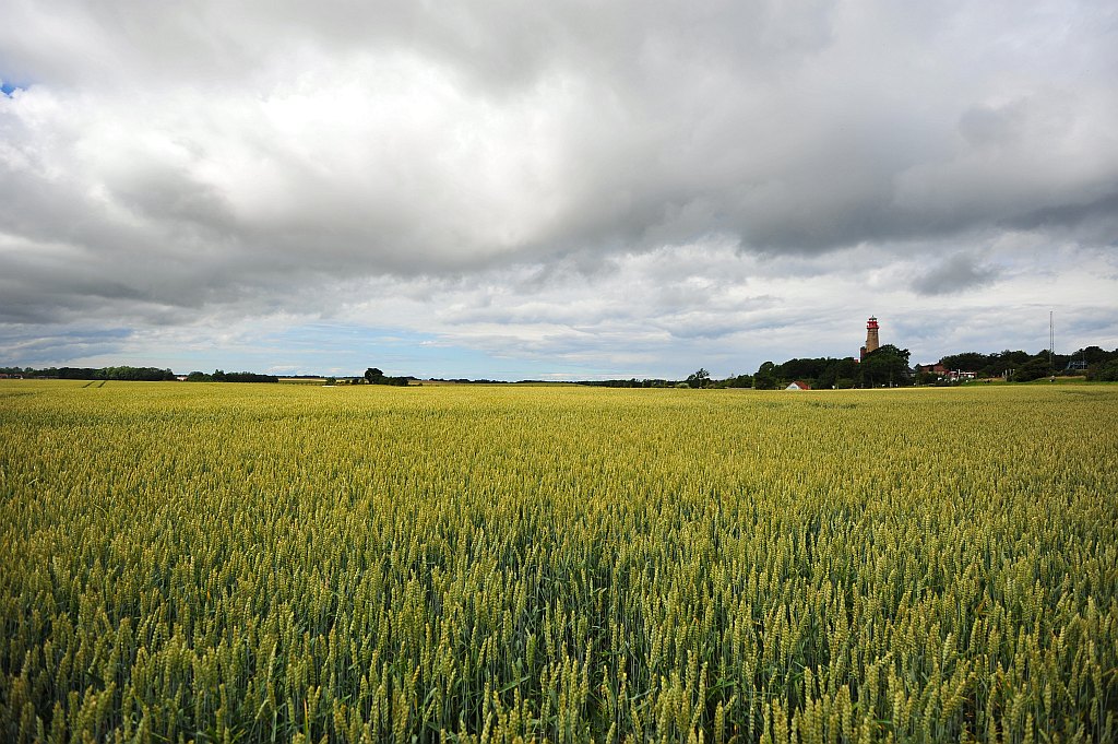 DSC 5537