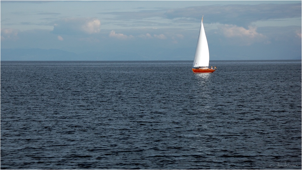 DSC 5540