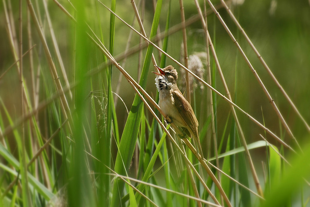 DSC 5542 1024