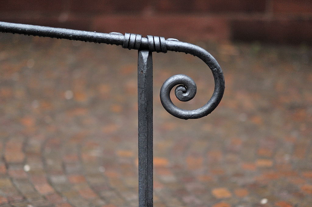 DSC 5554